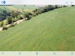 Fazenda para Venda em Cruzília - 4