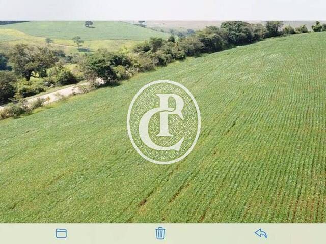Fazenda para Venda em Cruzília - 4