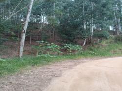 Sítio para Venda em Paraibuna - 2