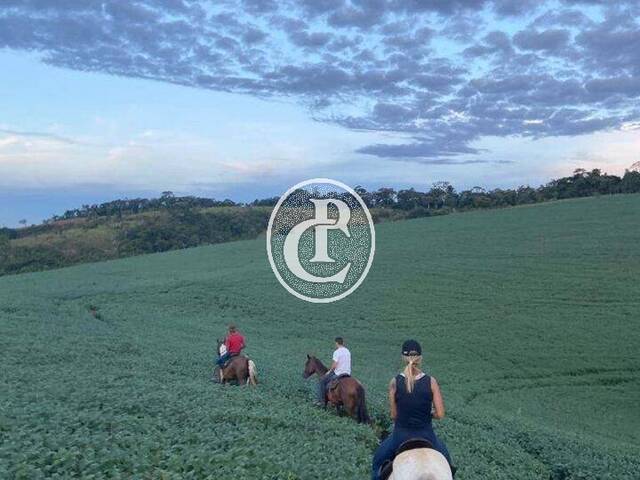 Fazenda para Venda em Cruzília - 5