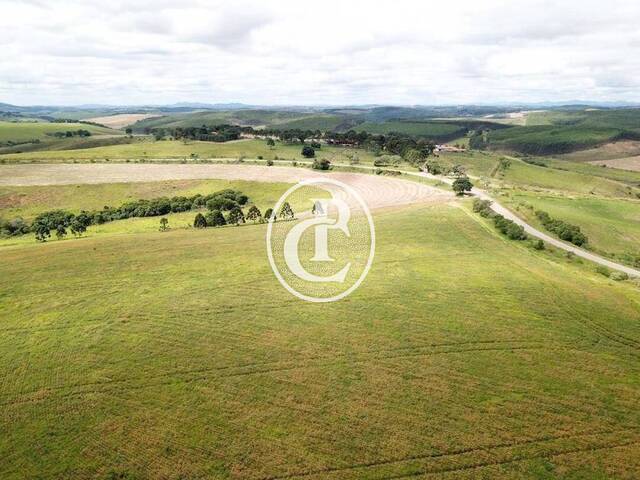 Fazenda para Venda em Cruzília - 2