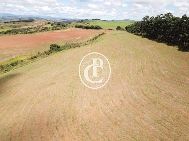 Fazenda para Venda em Cruzília - 3