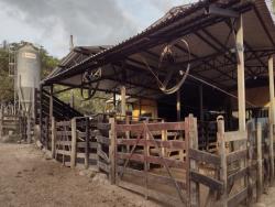 #309 - Fazenda para Venda em Passos - MG