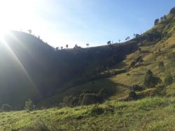 #315 - Fazenda para Venda em Itajubá - MG
