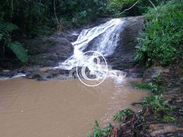 Fazenda para Venda em Lagoinha - 5