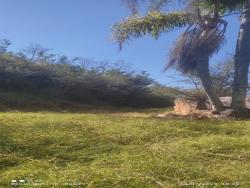 Fazenda para Venda em Paraibuna - 4