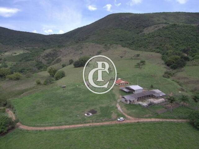 Fazenda para Venda em Santa Rita do Sapucaí - 5