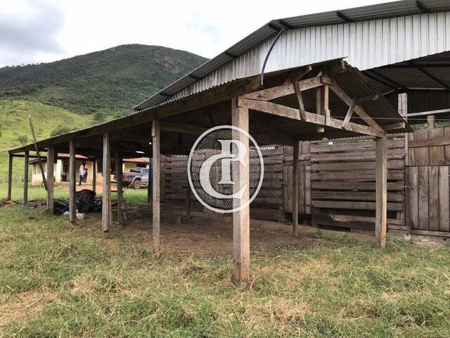 Fazenda para Venda em Santa Rita do Sapucaí - 3