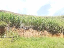 Chácara para Venda em Paraibuna - 4