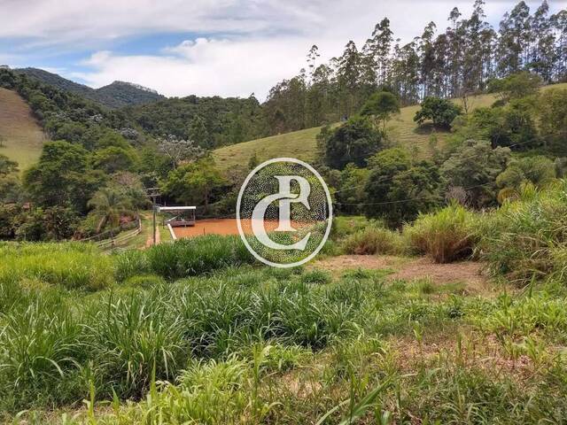 Sítio para Venda em Paraibuna - 5