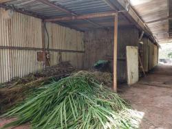 Sítio para Venda em Paraibuna - 5