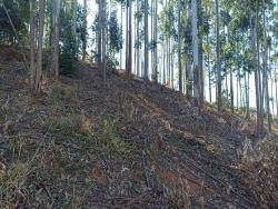 Chácara para Venda em Paraibuna - 2