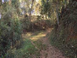 Sítio para Venda em São Luíz do Paraitinga - 5