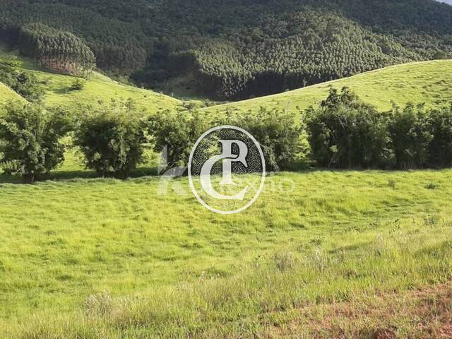 Fazenda para Venda em Santa Branca - 3