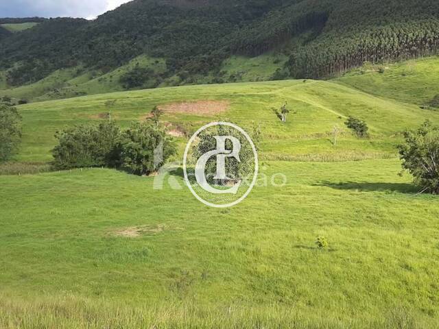 Fazenda para Venda em Santa Branca - 4