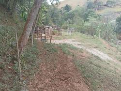Sítio para Venda em Paraibuna - 5