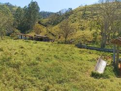 Sítio para Venda em Paraibuna - 4