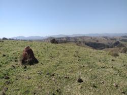 Fazenda para Venda em Guaratinguetá - 5