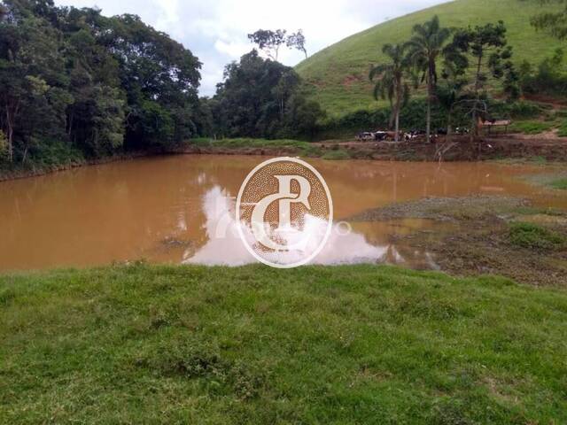 Fazenda para Venda em Cunha - 3