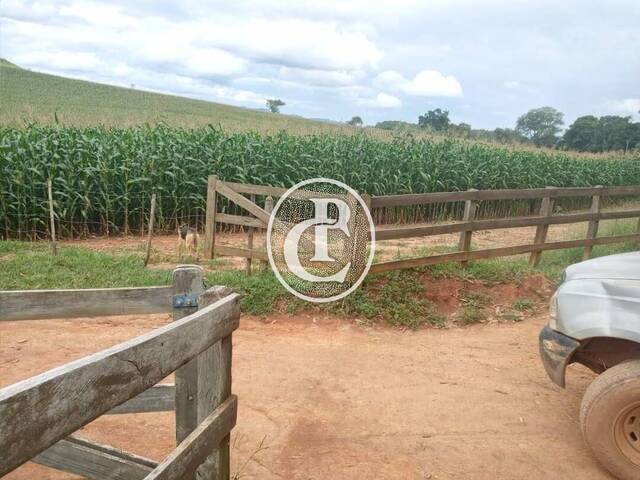 Fazenda para Venda em Cunha - 2