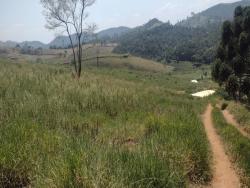 Fazenda para Venda em Guaratinguetá - 5