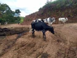 Fazenda para Venda em Cunha - 5