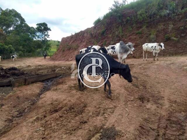 Fazenda para Venda em Cunha - 5