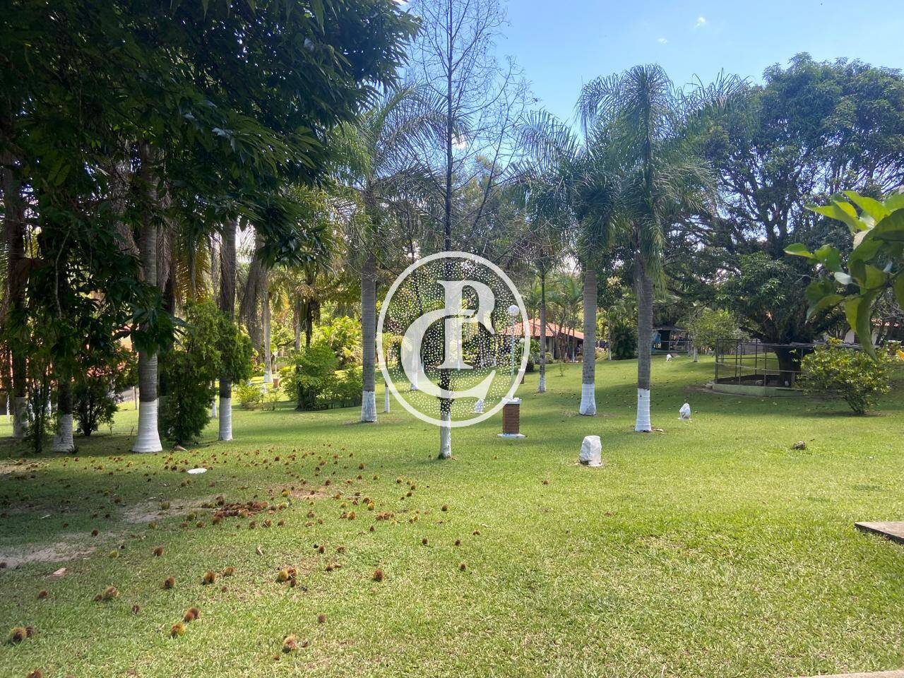 Chácara, 5 quartos, 9300 m² - Foto 17