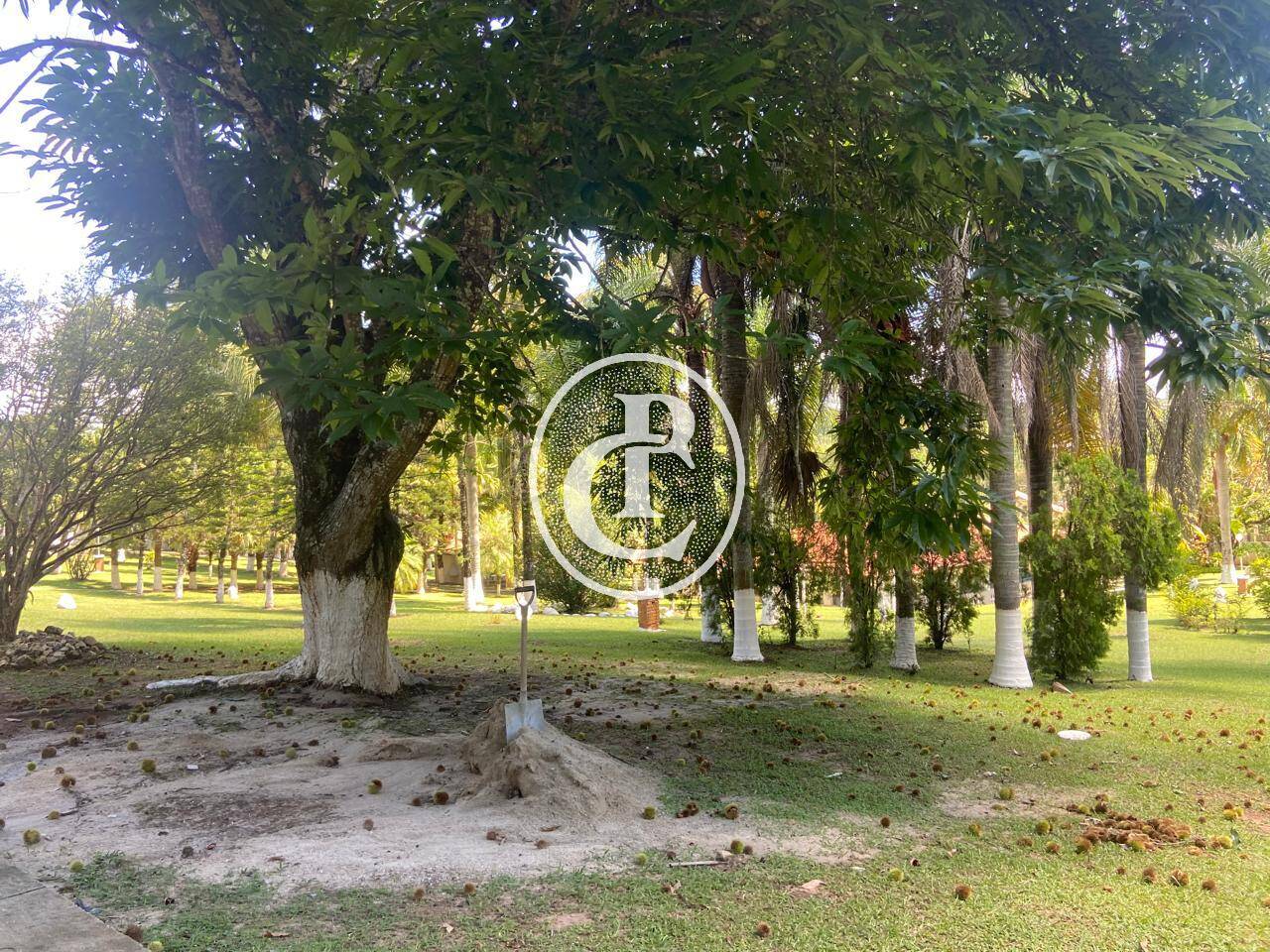 Chácara, 5 quartos, 9300 m² - Foto 18