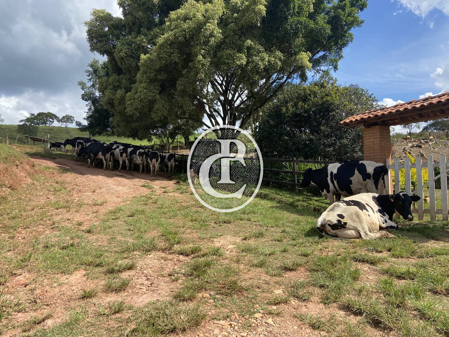 Fazenda, 400 m² - Foto 11