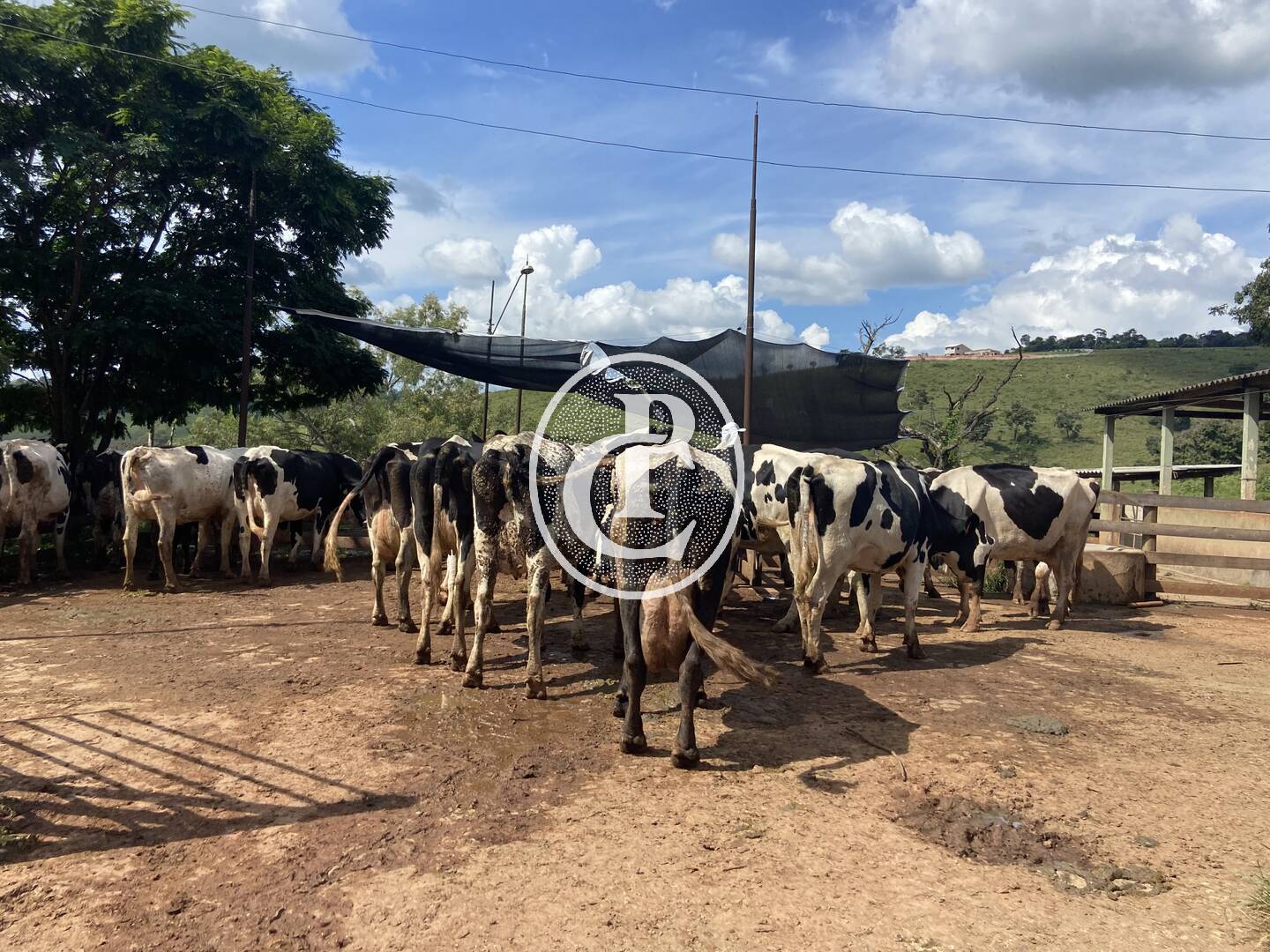 Fazenda, 400 m² - Foto 20