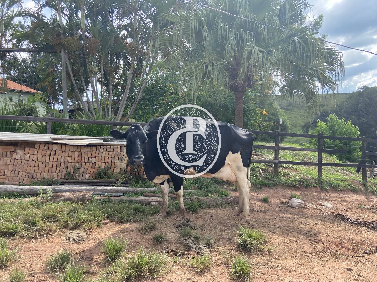 Fazenda, 400 m² - Foto 48