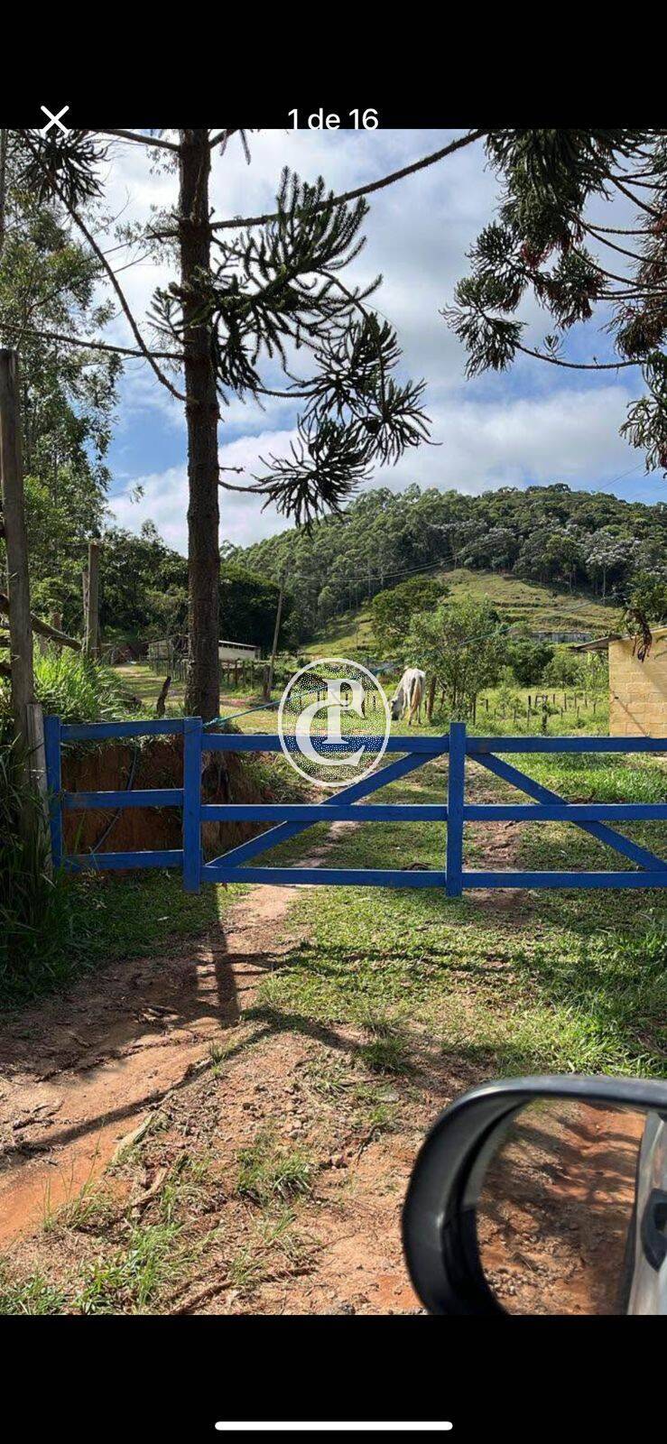 Sítio, 2 quartos, 2 hectares - Foto 1