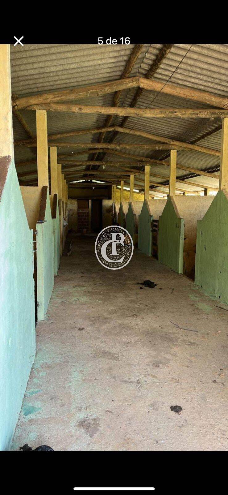 Sítio, 2 quartos, 2 hectares - Foto 4