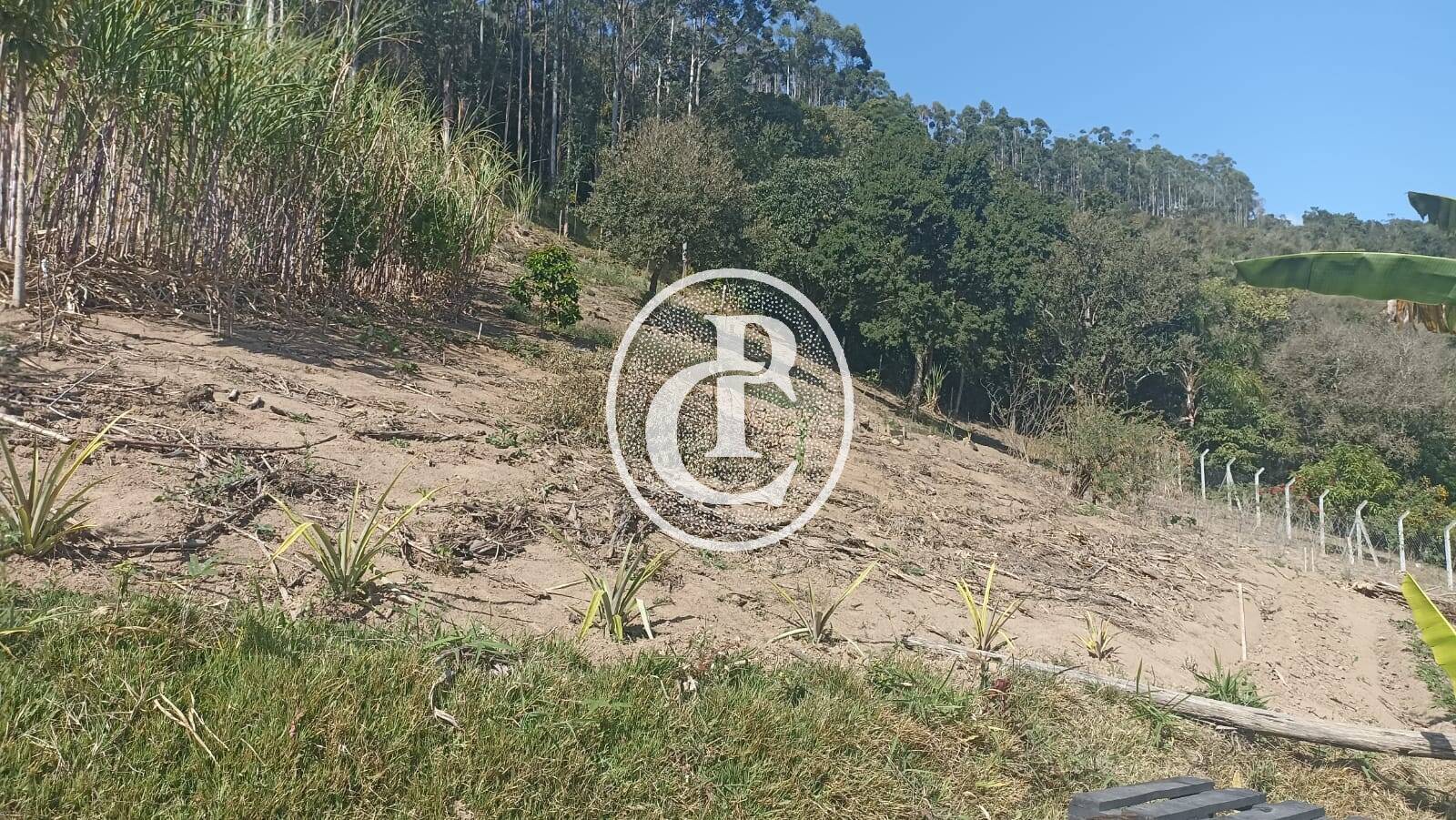 Sítio, 2 quartos, 2 hectares - Foto 14