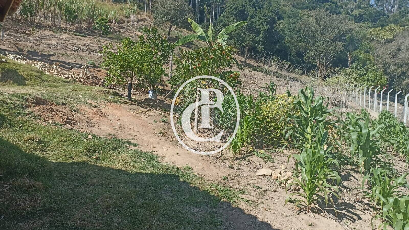 Terreno, 3000 m² - Foto 11