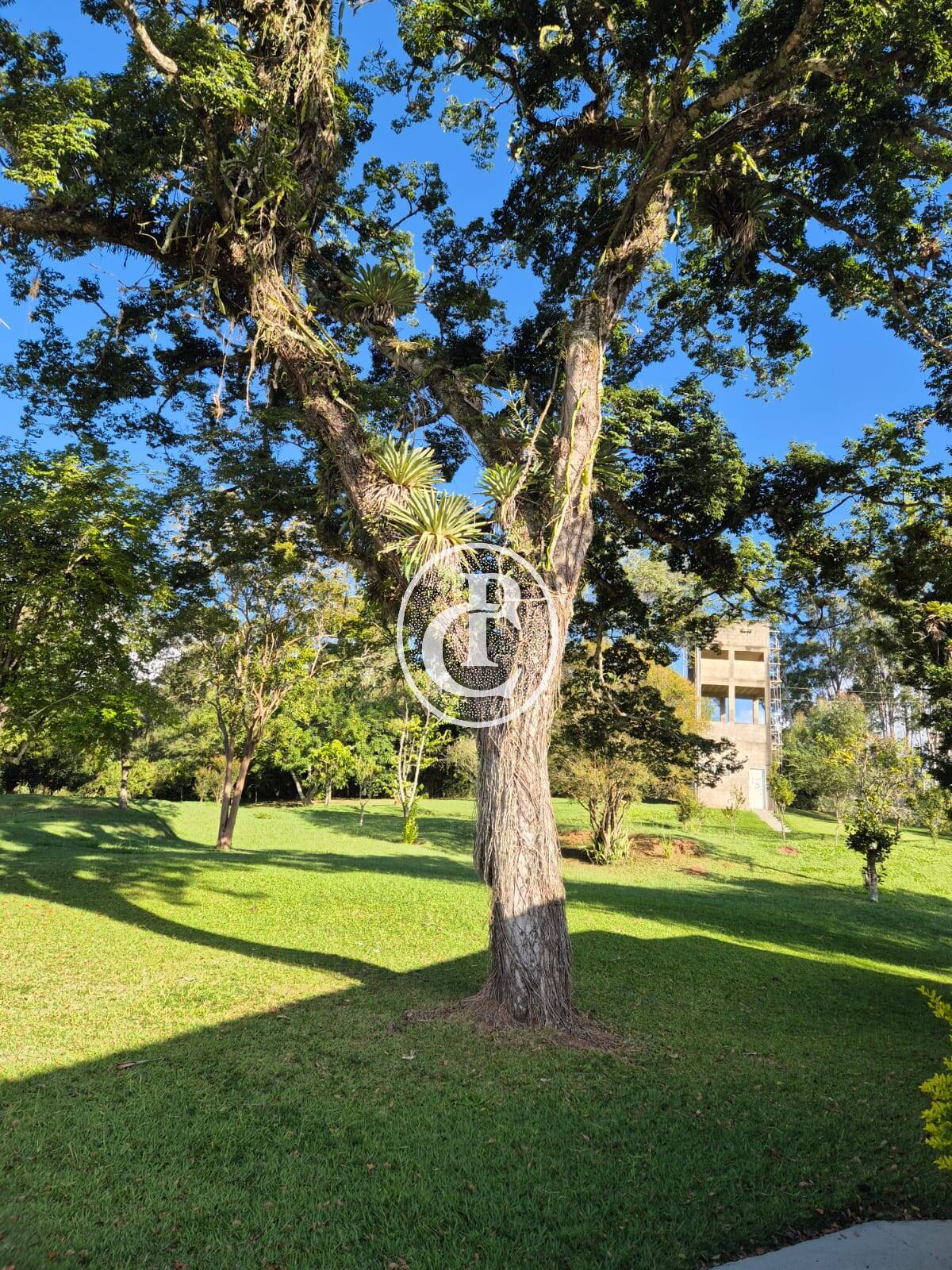 Sítio, 4 quartos, 27 hectares - Foto 4