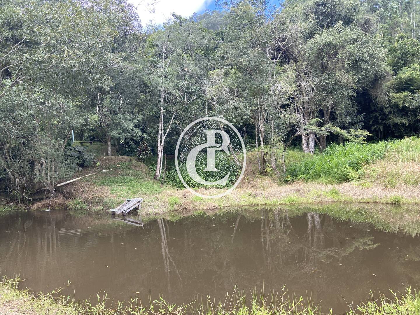 Sítio, 2 quartos, 6 hectares - Foto 9