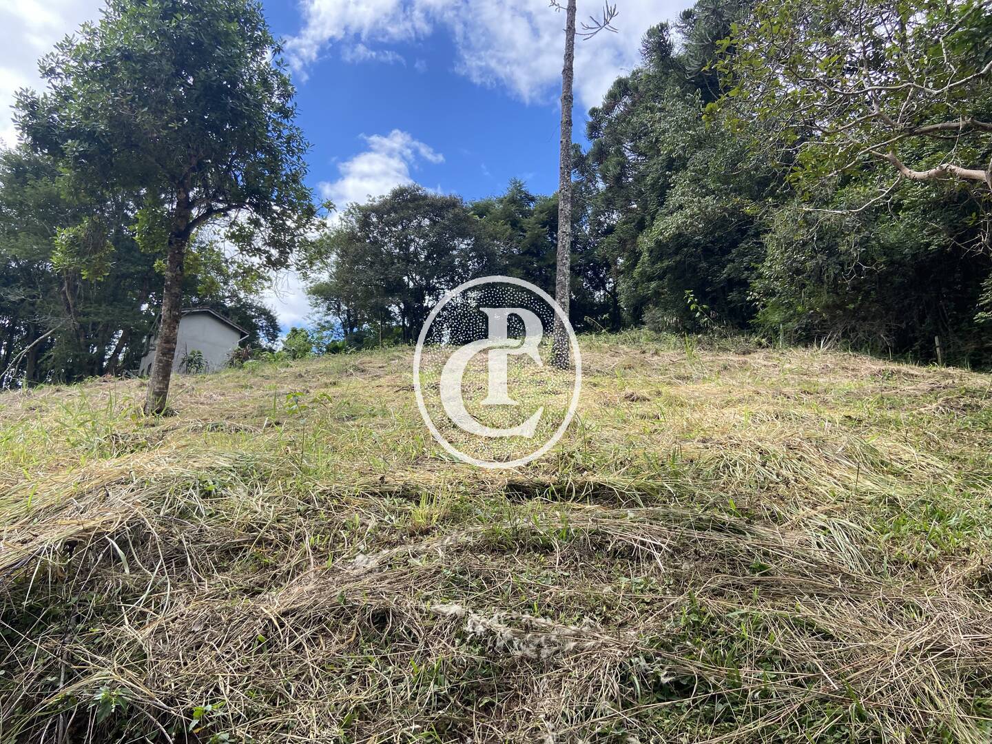 Sítio, 2 quartos, 6 hectares - Foto 11