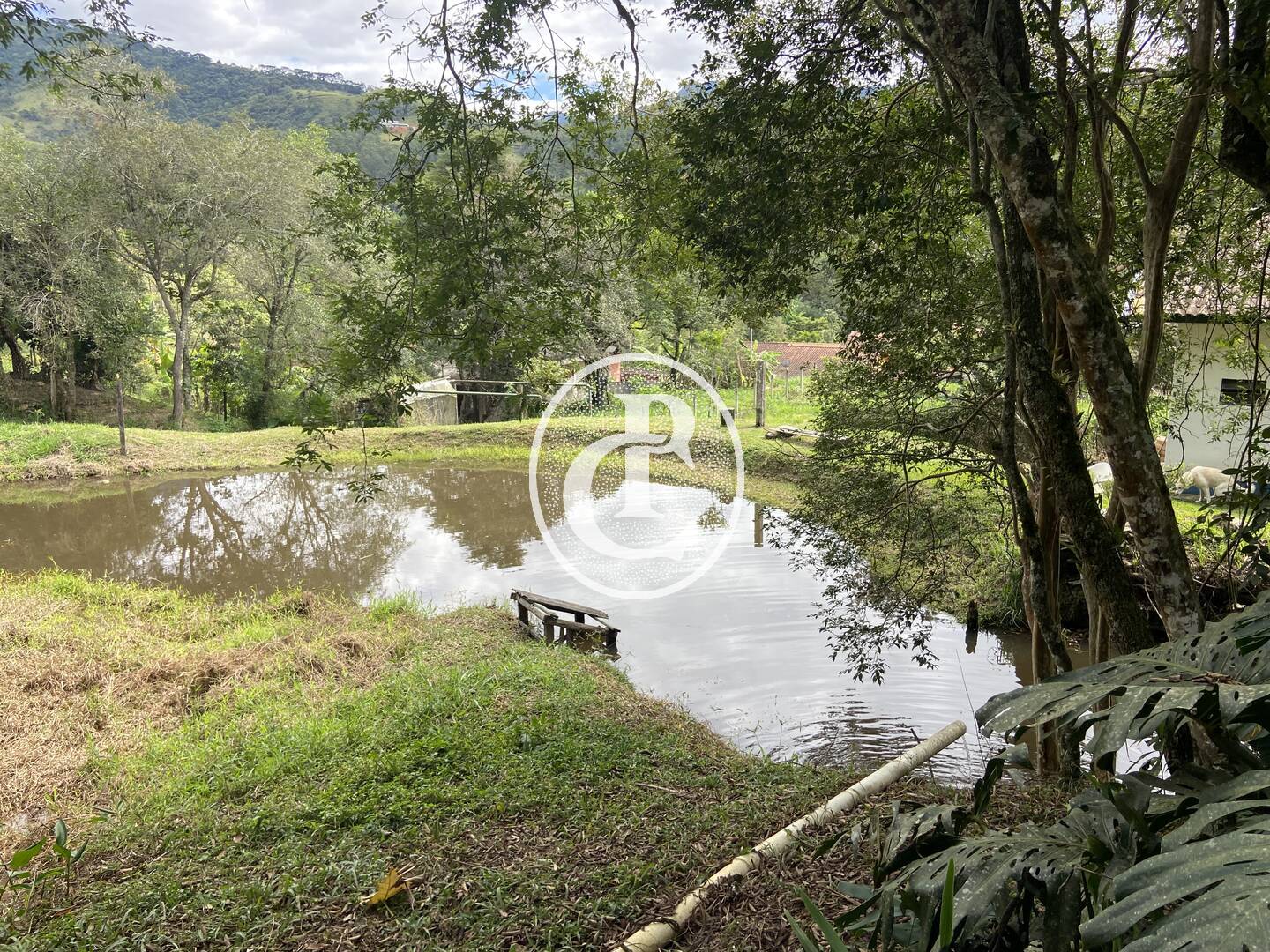 Sítio, 2 quartos, 6 hectares - Foto 16