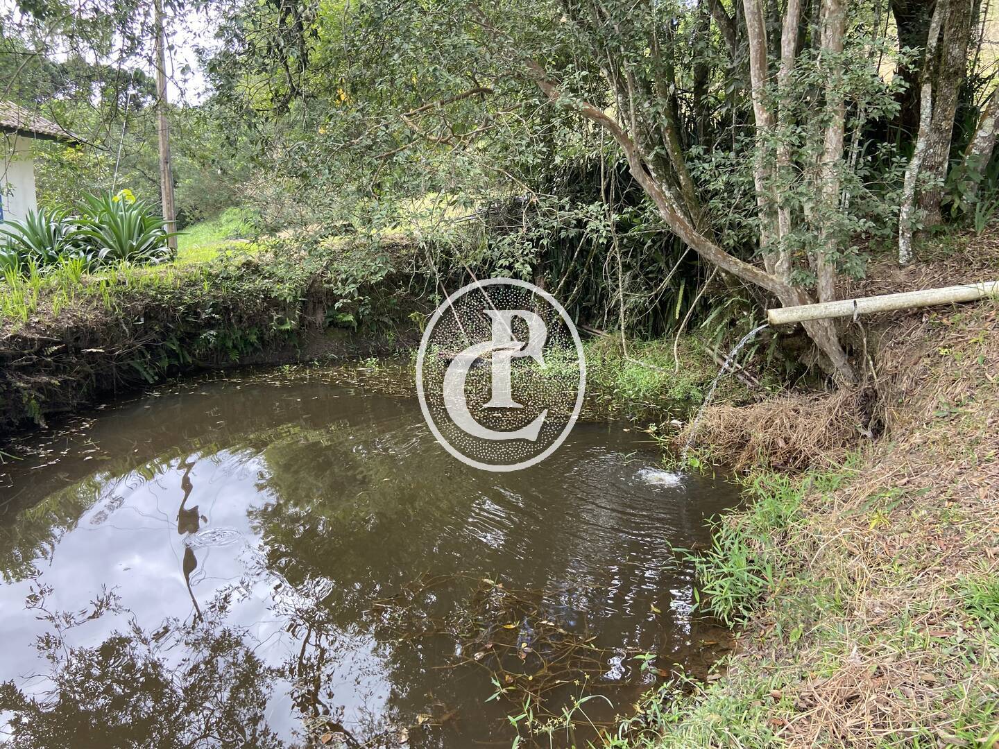 Sítio, 2 quartos, 6 hectares - Foto 23