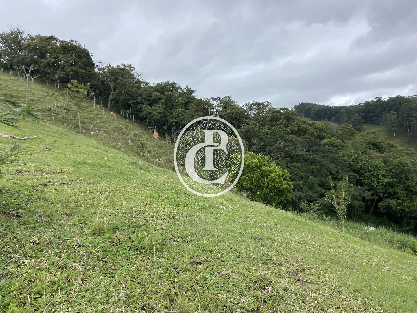 Sítio, 3 quartos, 19 hectares - Foto 2