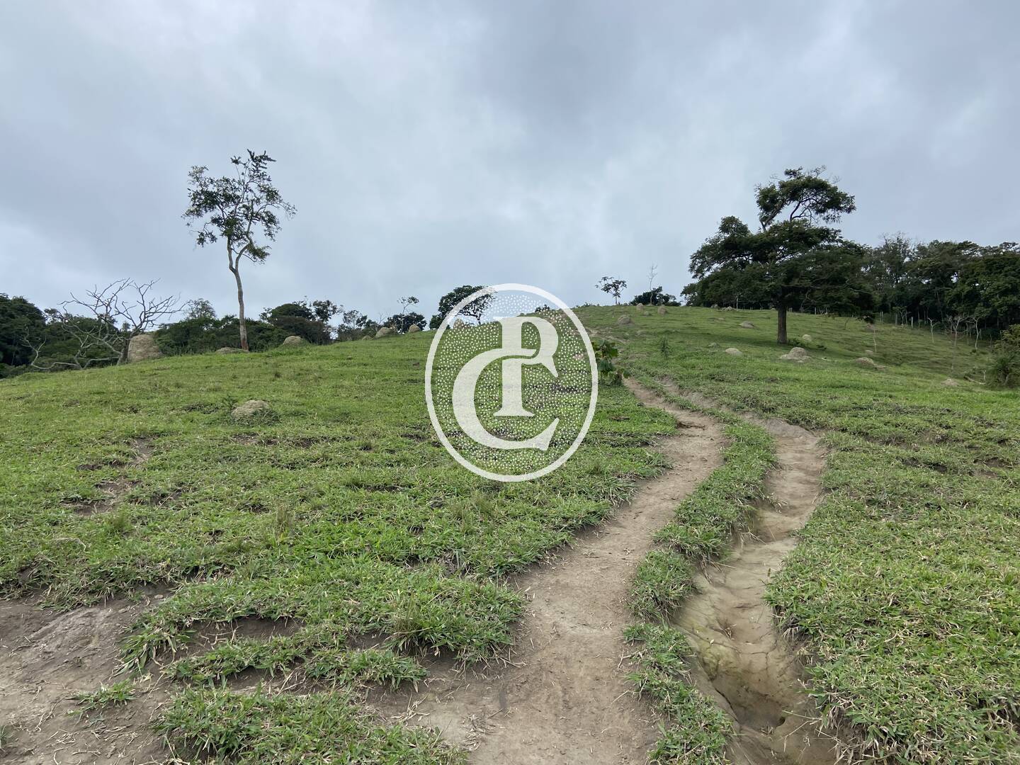 Sítio, 3 quartos, 19 hectares - Foto 4