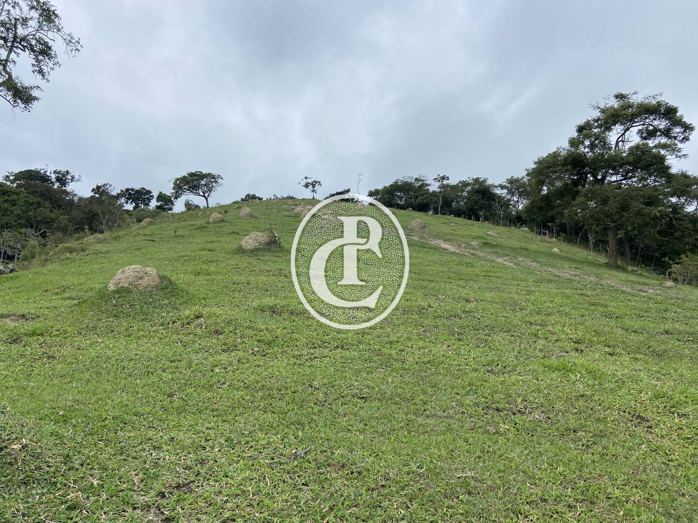 Sítio, 3 quartos, 19 hectares - Foto 7