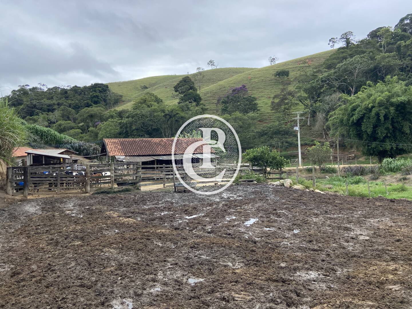 Sítio, 3 quartos, 19 hectares - Foto 9