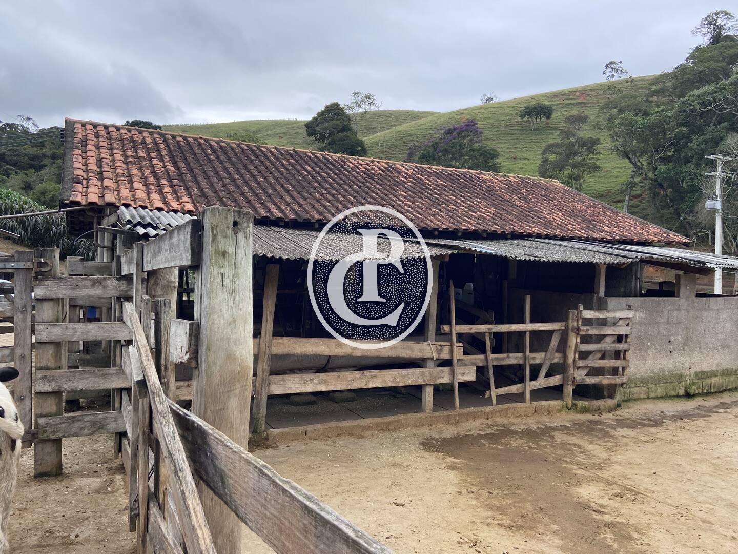 Sítio, 3 quartos, 19 hectares - Foto 13