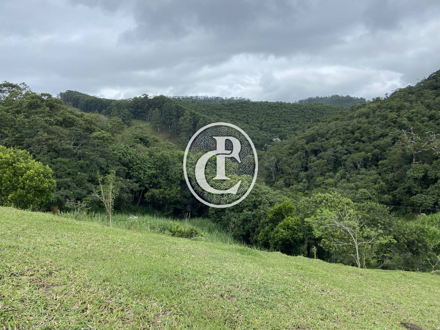 Sítio, 3 quartos, 19 hectares - Foto 14