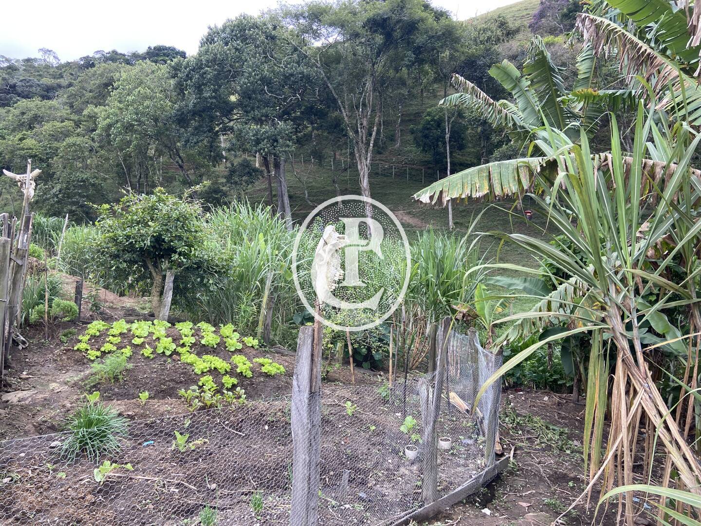 Sítio, 3 quartos, 19 hectares - Foto 15