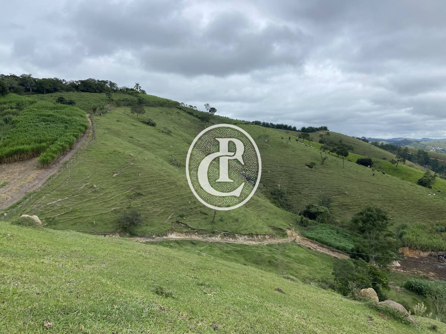 Sítio, 3 quartos, 19 hectares - Foto 16