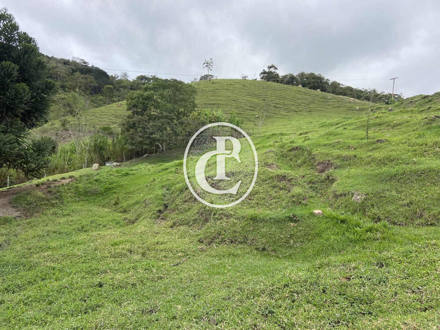 Sítio, 3 quartos, 19 hectares - Foto 18